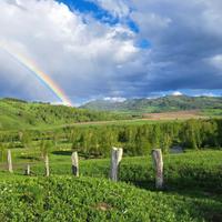 Царский курган, Алтай