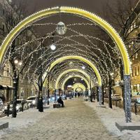 Новогодний тур в Санкт-Петербург