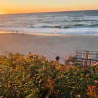 Национальный парк Куршская коса, Балтийское море