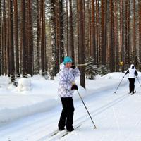 Лыжная трасса в Архангельской области