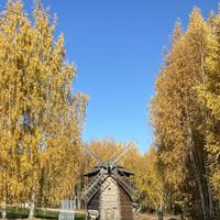 Хохловка, Пермский край