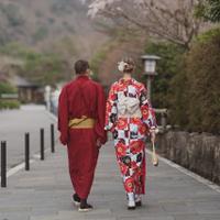 Тур в Японию