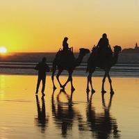 Побережье Эс-Сувейры