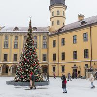 Несвижский замок