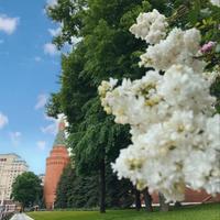 тур в Москву