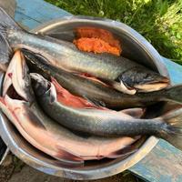 Свежая рыба