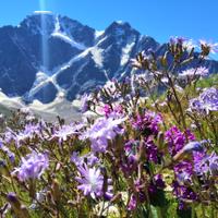 Треккинг в Приэльбрусье