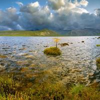 Коса Биологов