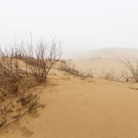 Бархан Сарыкум