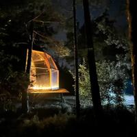 Проживание в панорамной купольной палатке