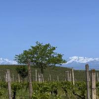 Тур по Азербайджану