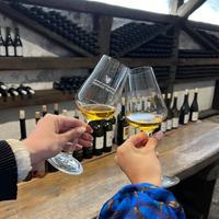 Дегустация вин в Грузии