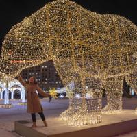 Новогодний Мурманск