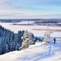 Зимний лес в Карелии