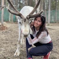 тур в деревню саамов