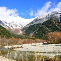 Камикочи 