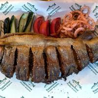 Тур в Казахстан