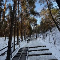 Куршская коса