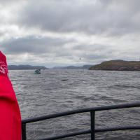 Морская прогулка в Териберке