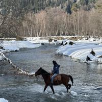 Конная прогулка в Архызе