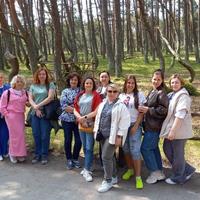 Национальный парк Куршская коса, Танцующий лес