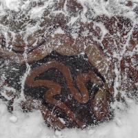 Каменные змеи в Карелии