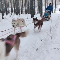 Горнолыжный курорт «Абзаково»