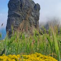 Карадагский государственный заповедник