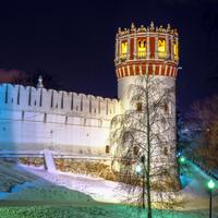 Новодевичий монастырь и Софьюшкина башня