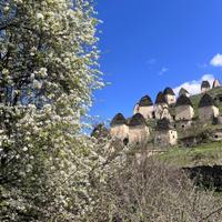 Даргавс