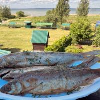 Переславская ряпушка