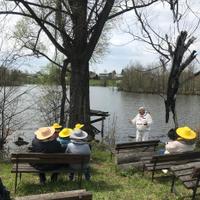 Экскурсия на бортевую пасеку