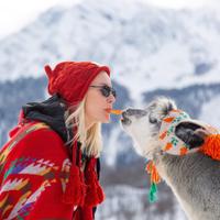 Альпака