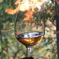 Путешествие по Грузии