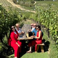 Винодельня Chianti Classico