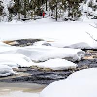 Водопад Кивач в Карелии