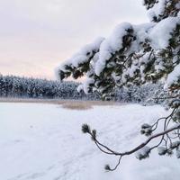 Прогулка в Подмосковье