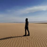 Хонгорын Элс