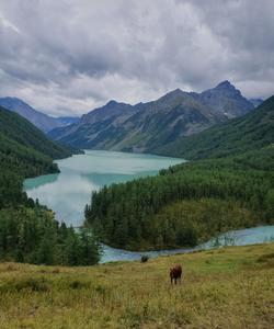 Горный пейзаж