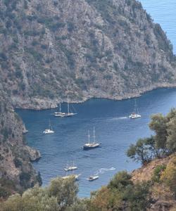 Долина Бабочек