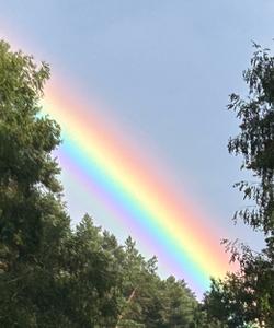 Местный пейзаж