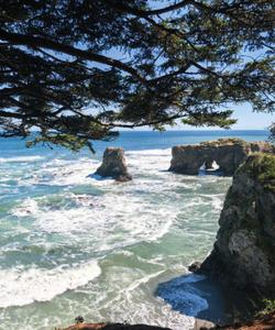 Мыс Великан и Птичий на острове Сахалин