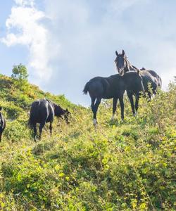 Поход по 30 маршруту