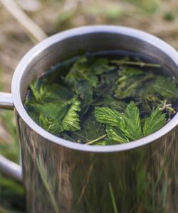 Поход в Марий Эл