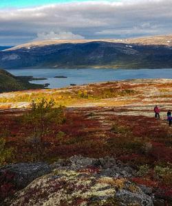 Ловозерские тундры