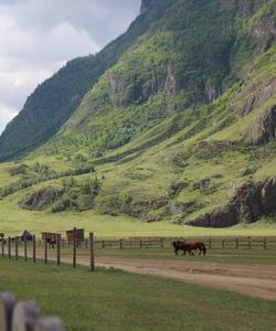Алтайские горы