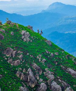 Треккинг на Малый Пик Адама