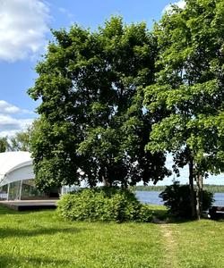 Санаторий Лунево