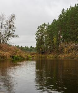 сплав по реке Осуге