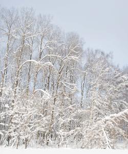 зима на Урале